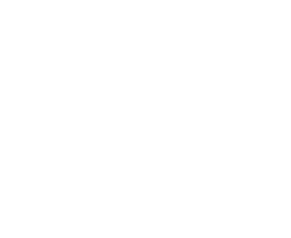 Amini
